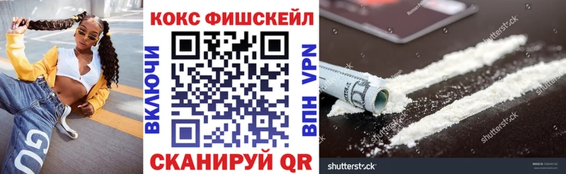 Купить  Буй  КОКАИН Fish Scale 