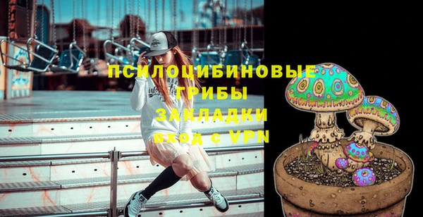 молекула духа Зеленокумск