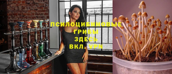 ALPHA PVP Зеленодольск
