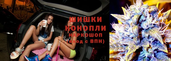 молекула духа Зеленокумск