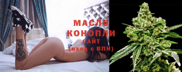 молекула духа Зеленокумск