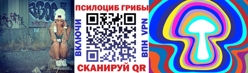 Купить  Буй  Галлюциногенные грибы GOLDEN TEACHER 