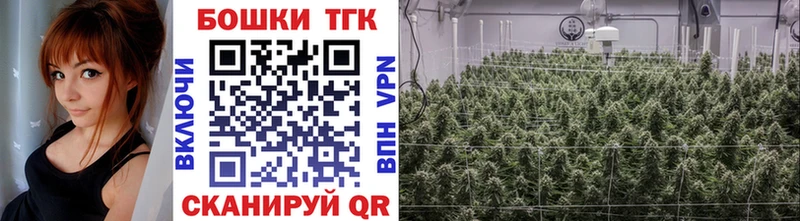 Купить где Буй Бошки Шишки индика